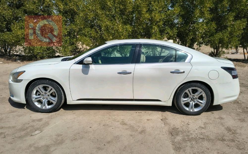 نيسان ماكسيما